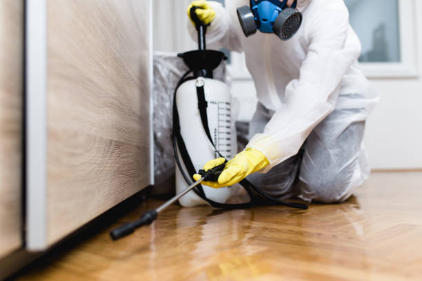 Insect Control in Fanwood, NJ