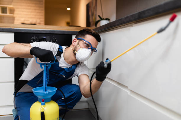 Best Ant Control Services  in Fanwood, NJ