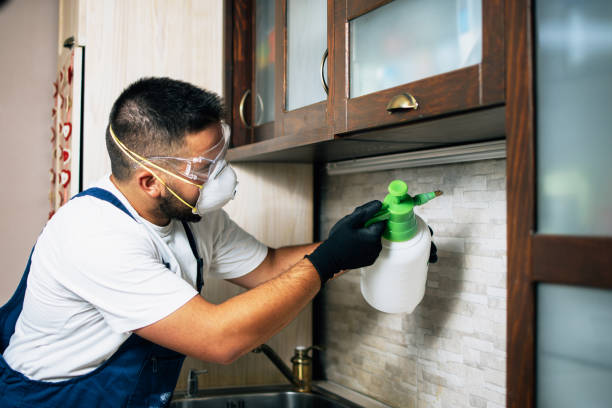 Best Flea Control Services  in Fanwood, NJ