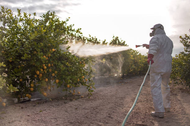 Best Pest Prevention Services  in Fanwood, NJ