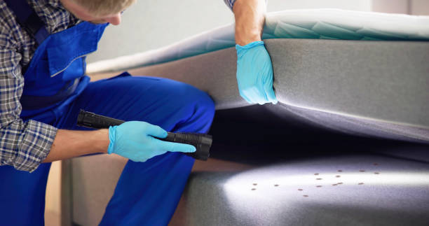 Best Emergency Pest Control  in Fanwood, NJ