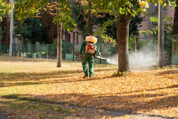 Best Pest Inspection Near Me  in Fanwood, NJ