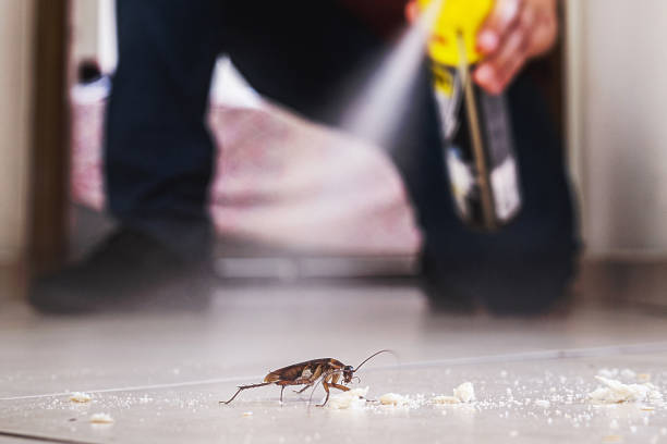 Best Insect Control  in Fanwood, NJ