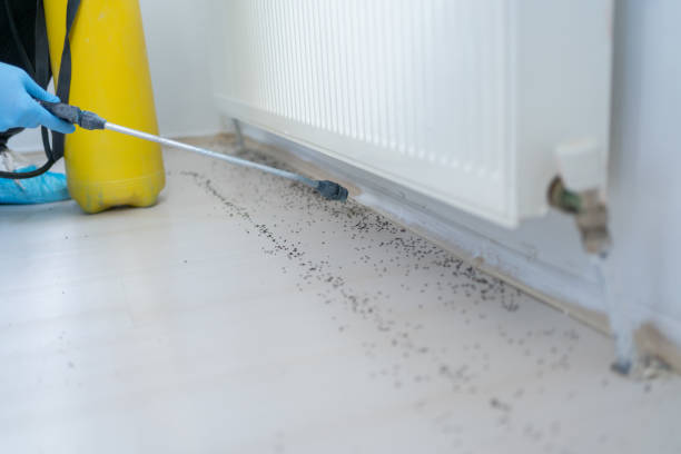 Best Affordable Pest Control Services  in Fanwood, NJ