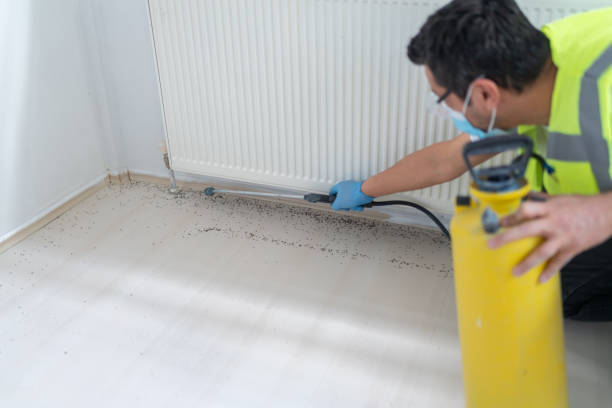 Best Termite Control Services  in Fanwood, NJ