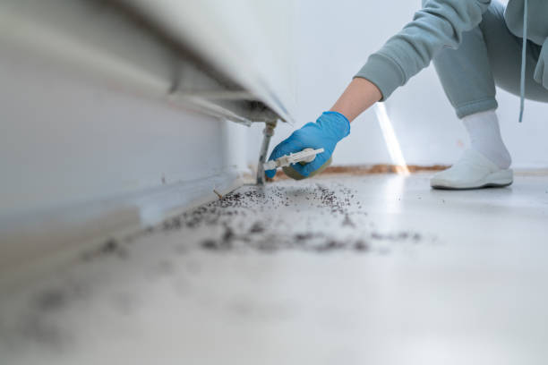Bird Control in Fanwood, NJ