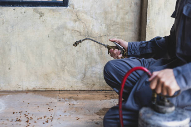 Best Pest Control for Homes  in Fanwood, NJ