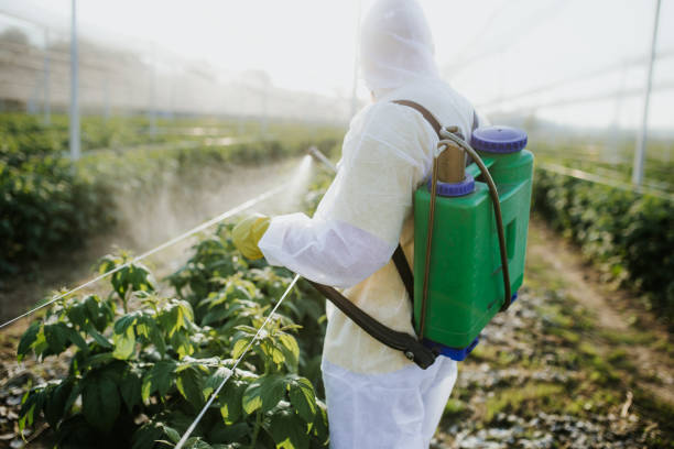 Best Cockroach Control Services  in Fanwood, NJ